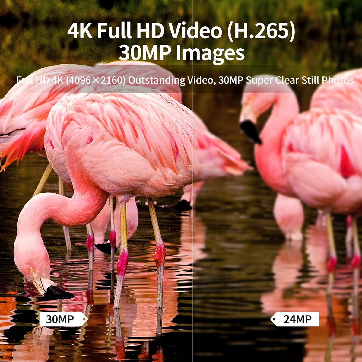 4K 30MP Night Vision Motion Activated Waterproof Trail Camera P198