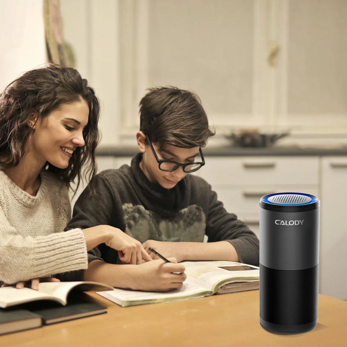 Portable H13 True HEPA Air Purifier P39214