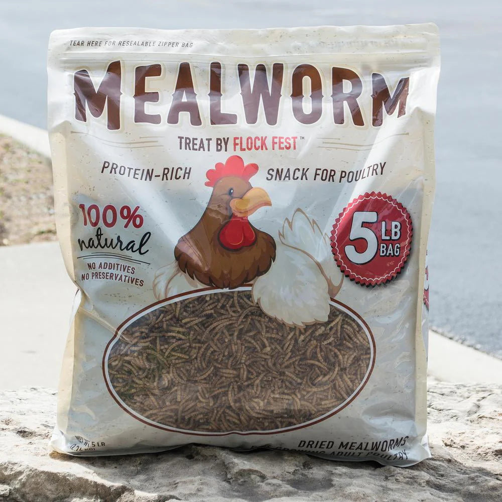 Dried Mealworms 5 lbs. Bag O74395