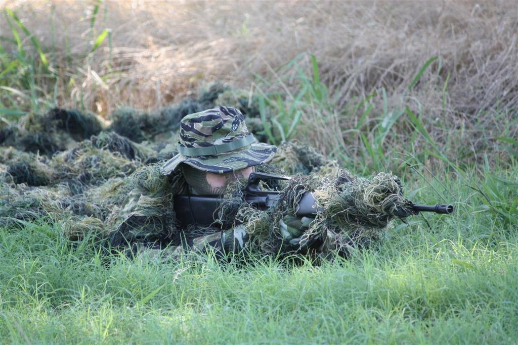 Woodland Camouflage Netting I7828