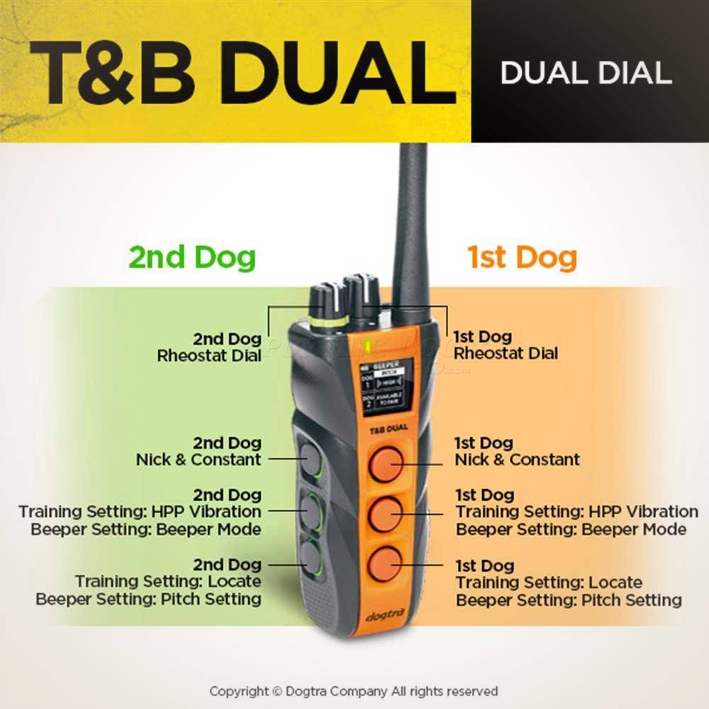 Dual Dog Training and Beeper Collar W49688
