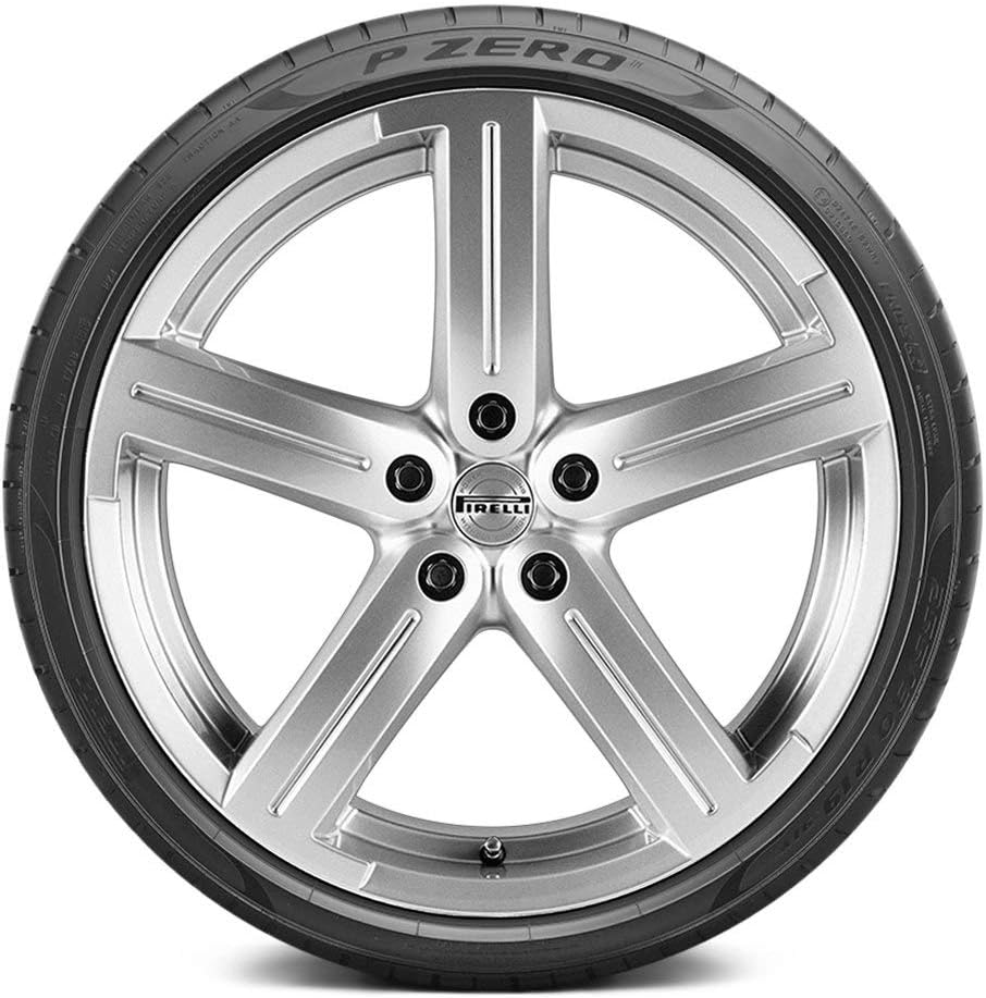 245/45R21 104Y Performance Radial Tire V22070
