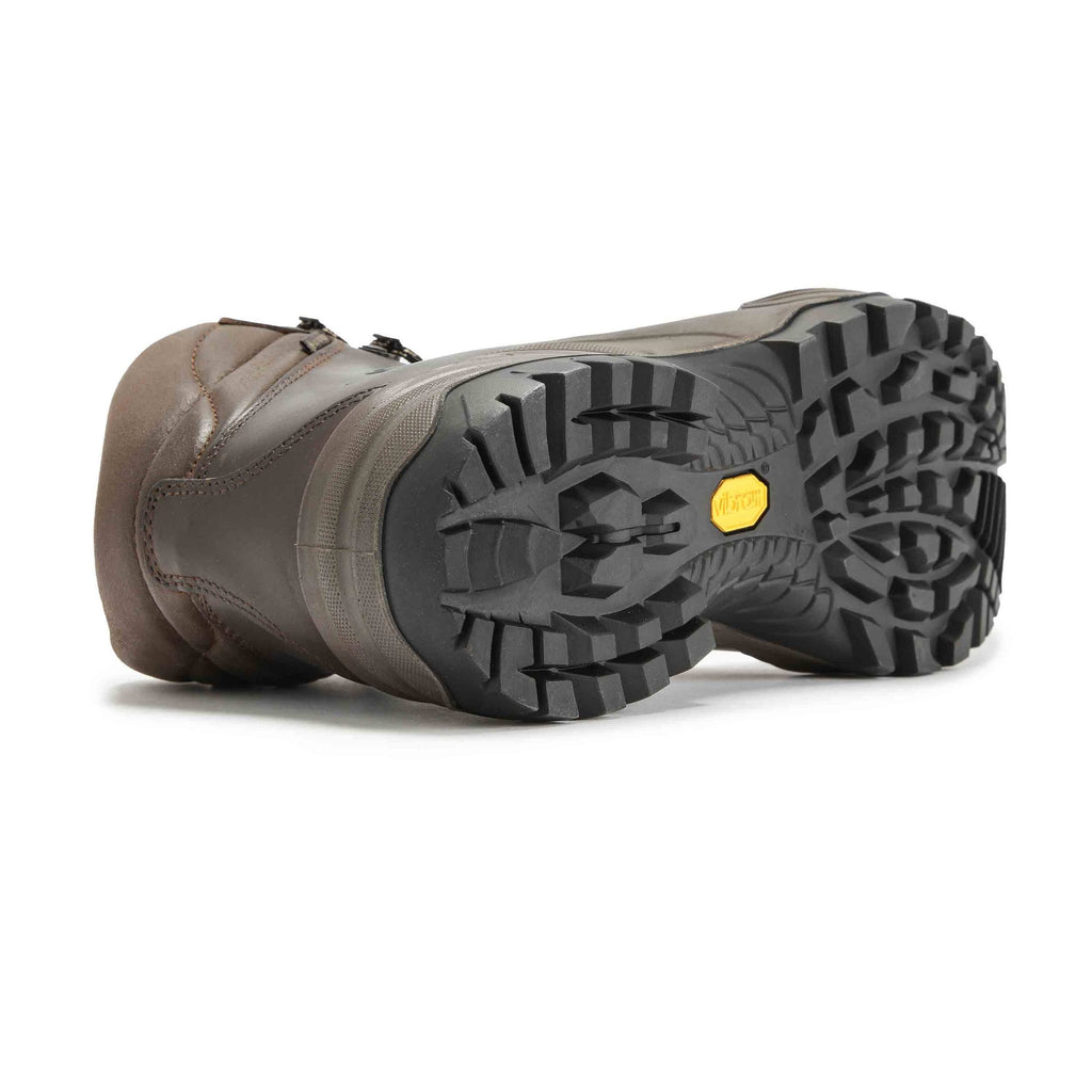 Brown Terra GTX Shoes J254