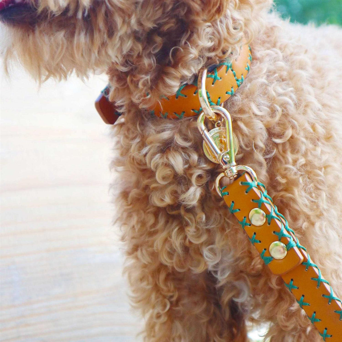 Handcrafted Standard Dog Collar M65890