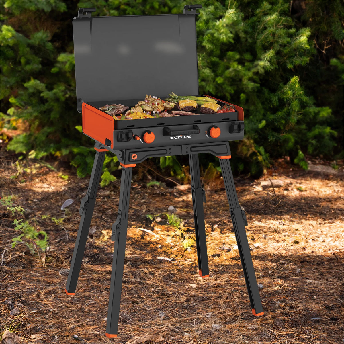 Griddle Leg Kit with Adjustable Legs and Base, 1-Piece F652