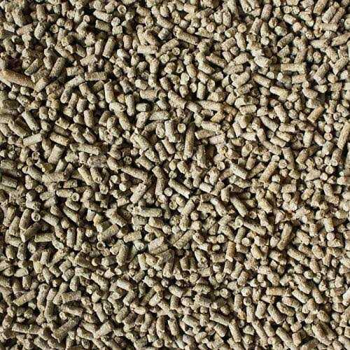 Hedgehog Food Q311007