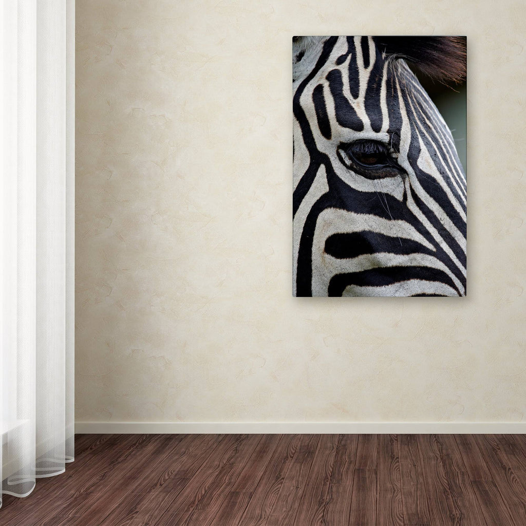 Zebras Canvas Art C403743