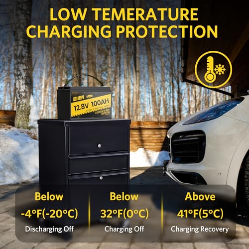 12V 100Ah LiFePO4 Battery with 100A BMS D3554