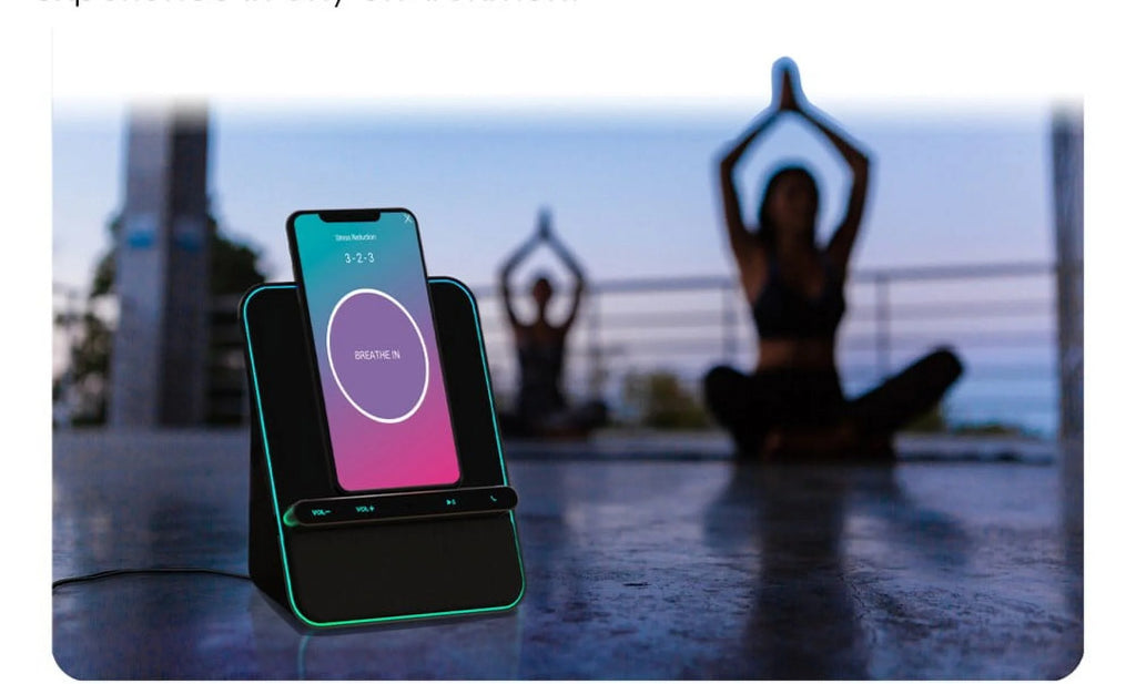 Wireless Charging Bluetooth Speaker with Handsfree Call B519