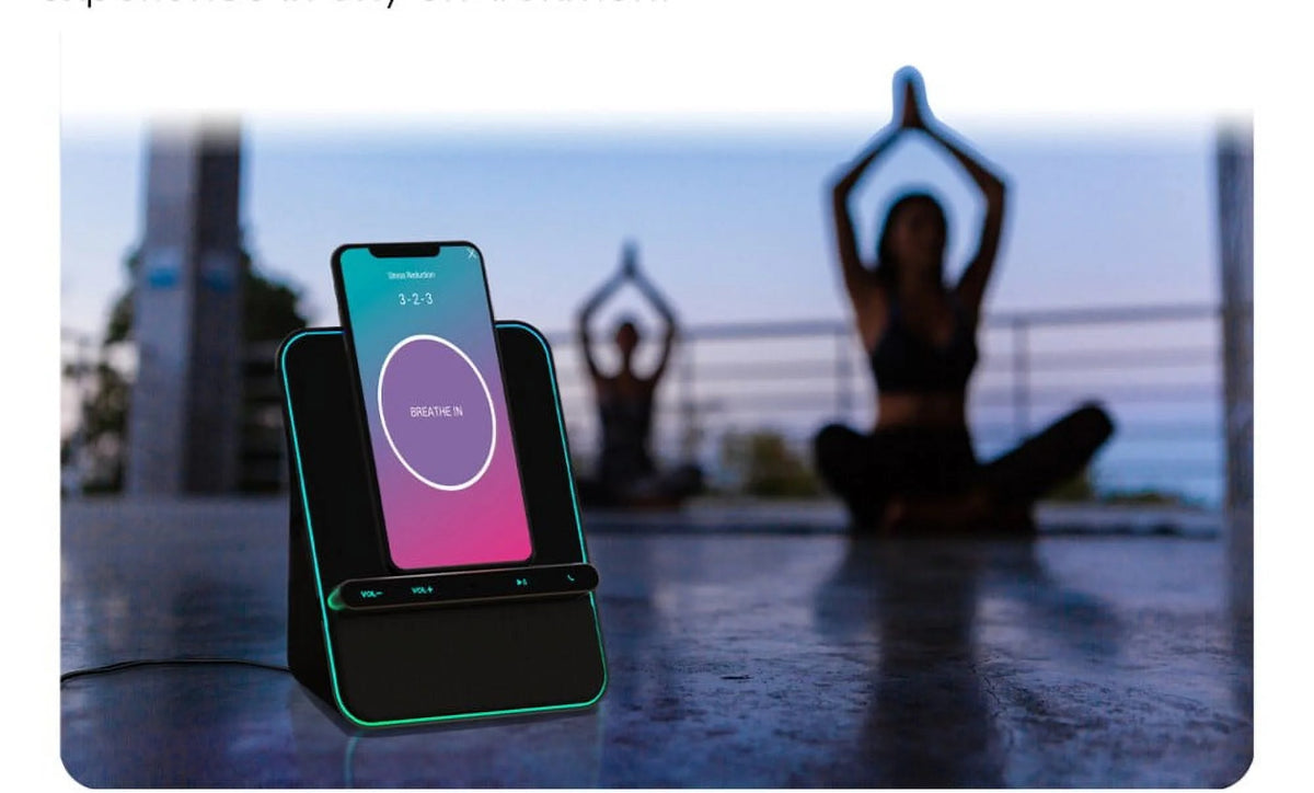 Wireless Charging Bluetooth Speaker with Handsfree Call B519