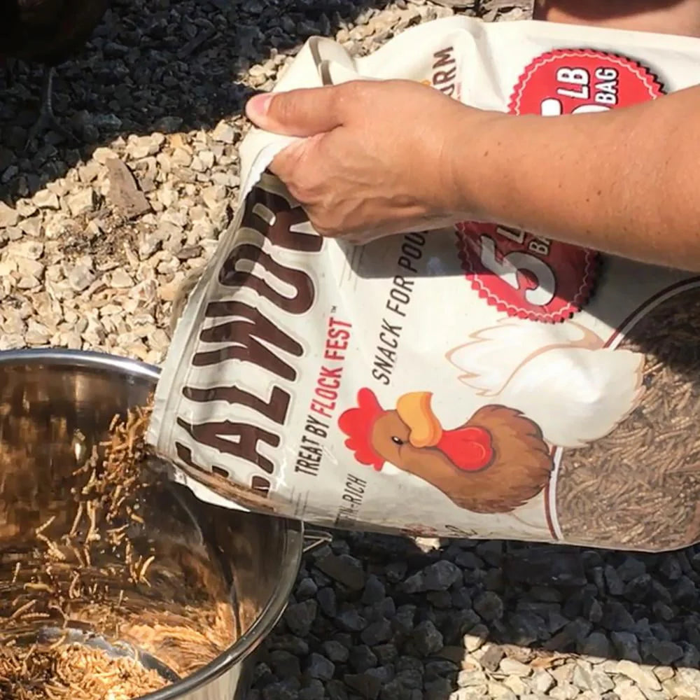Dried Mealworms 5 lbs. Bag O74395