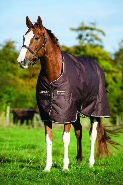 12 Turnout Sheet J21442