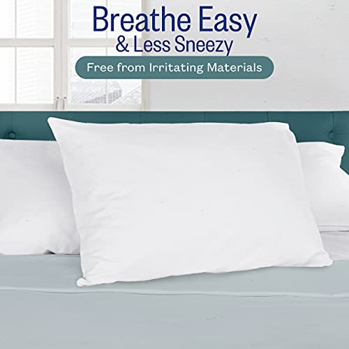 2 Pack King Cooling Gel Fiber Filled Pillow B247526