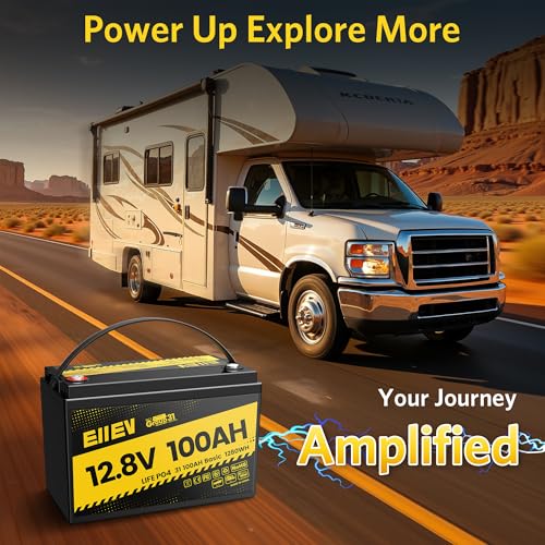 12V 100Ah LiFePO4 Battery with 100A BMS D3554