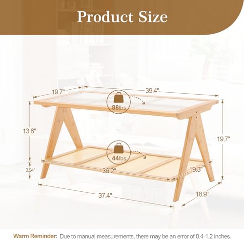 2-Tier Rattan Glass Coffee Table with Storage Shelf T97925