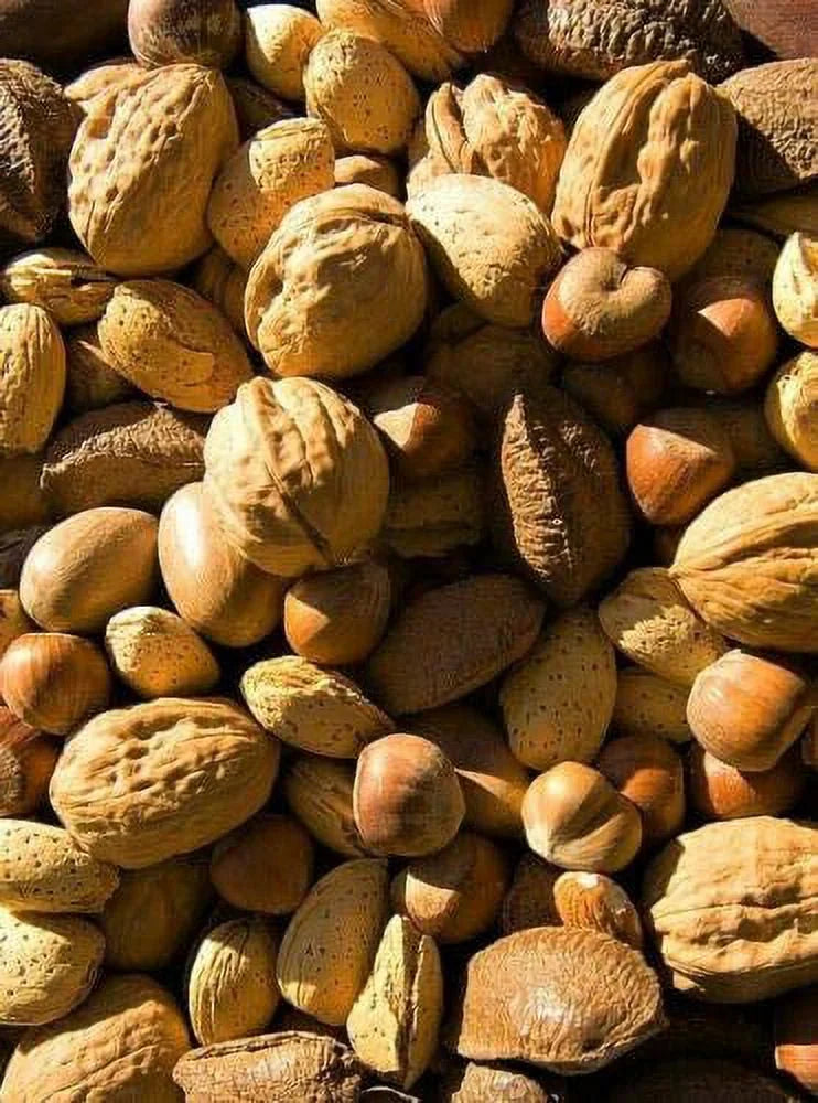 Raw In-shell Whole Mixed Nuts 4 LB H17123
