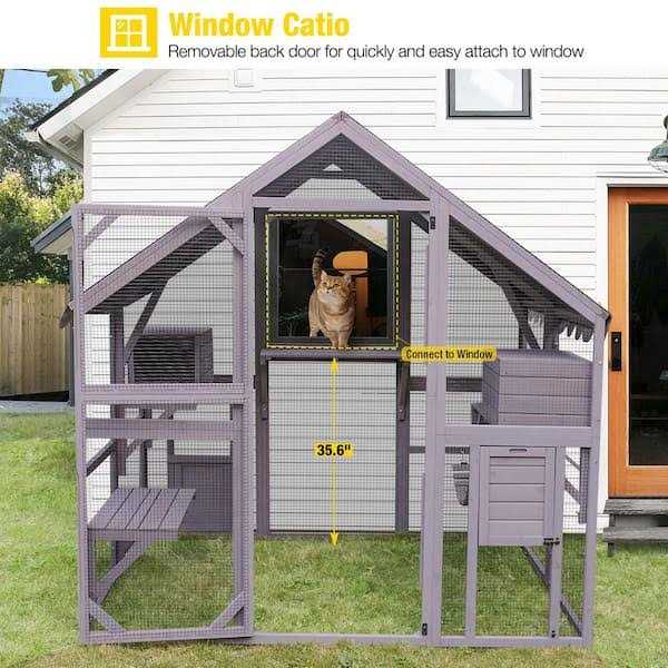 Outdoor Cat Run I4829