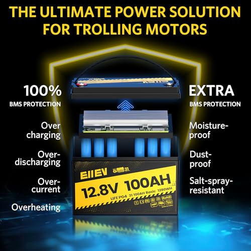 12V 100Ah LiFePO4 Battery with 100A BMS D3554