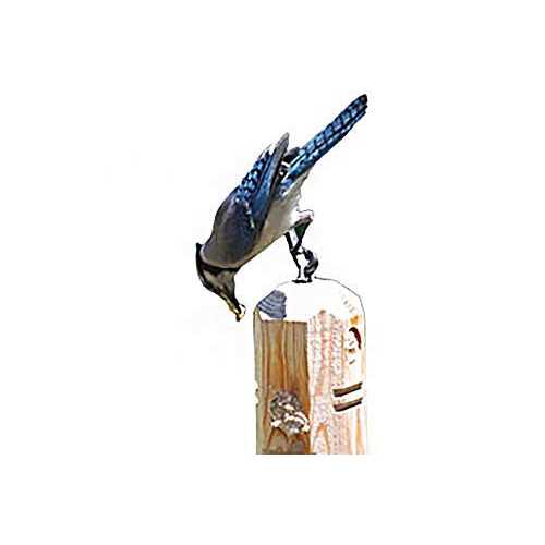 16 Pack Suet Plugs M385850