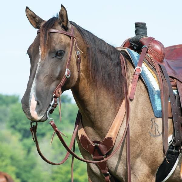 Leather Pulling Breast Collar S955735