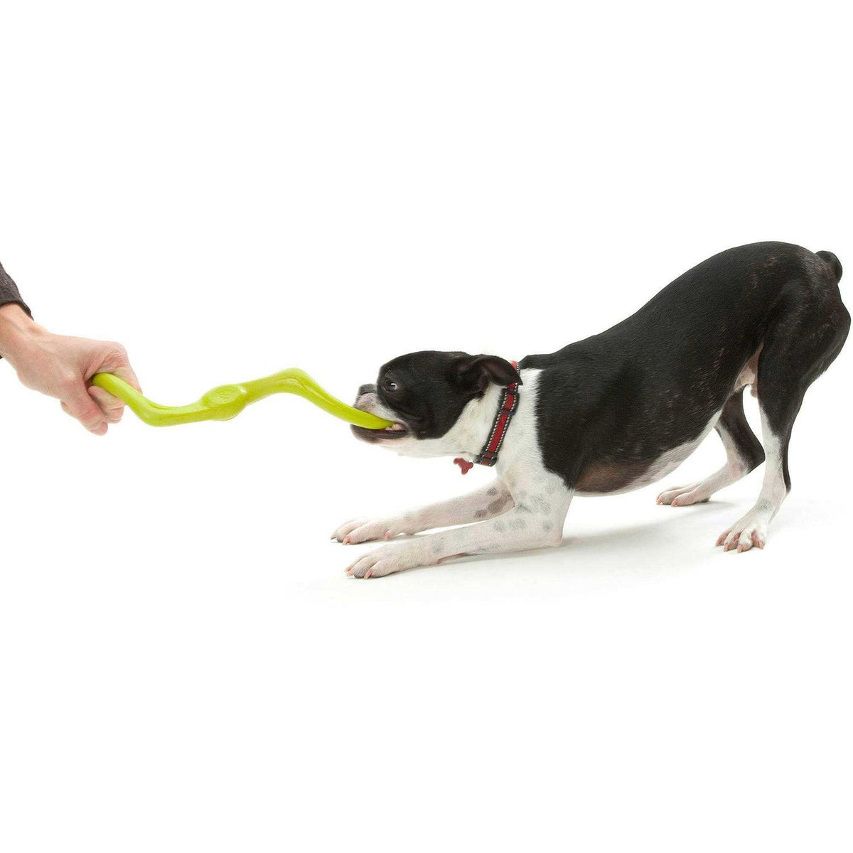 Dog Toy L647