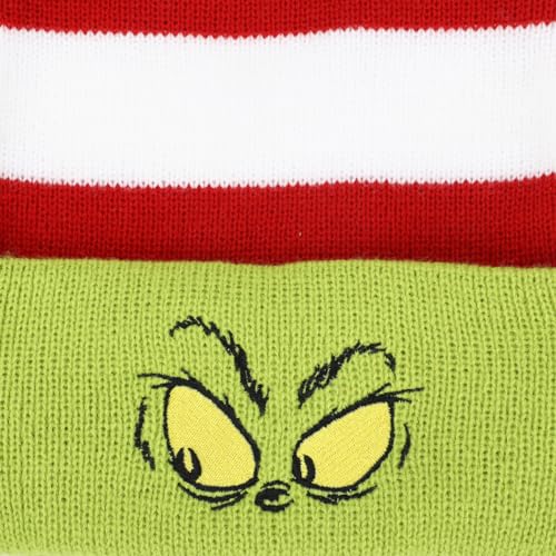 Christmas Santa Hat C167
