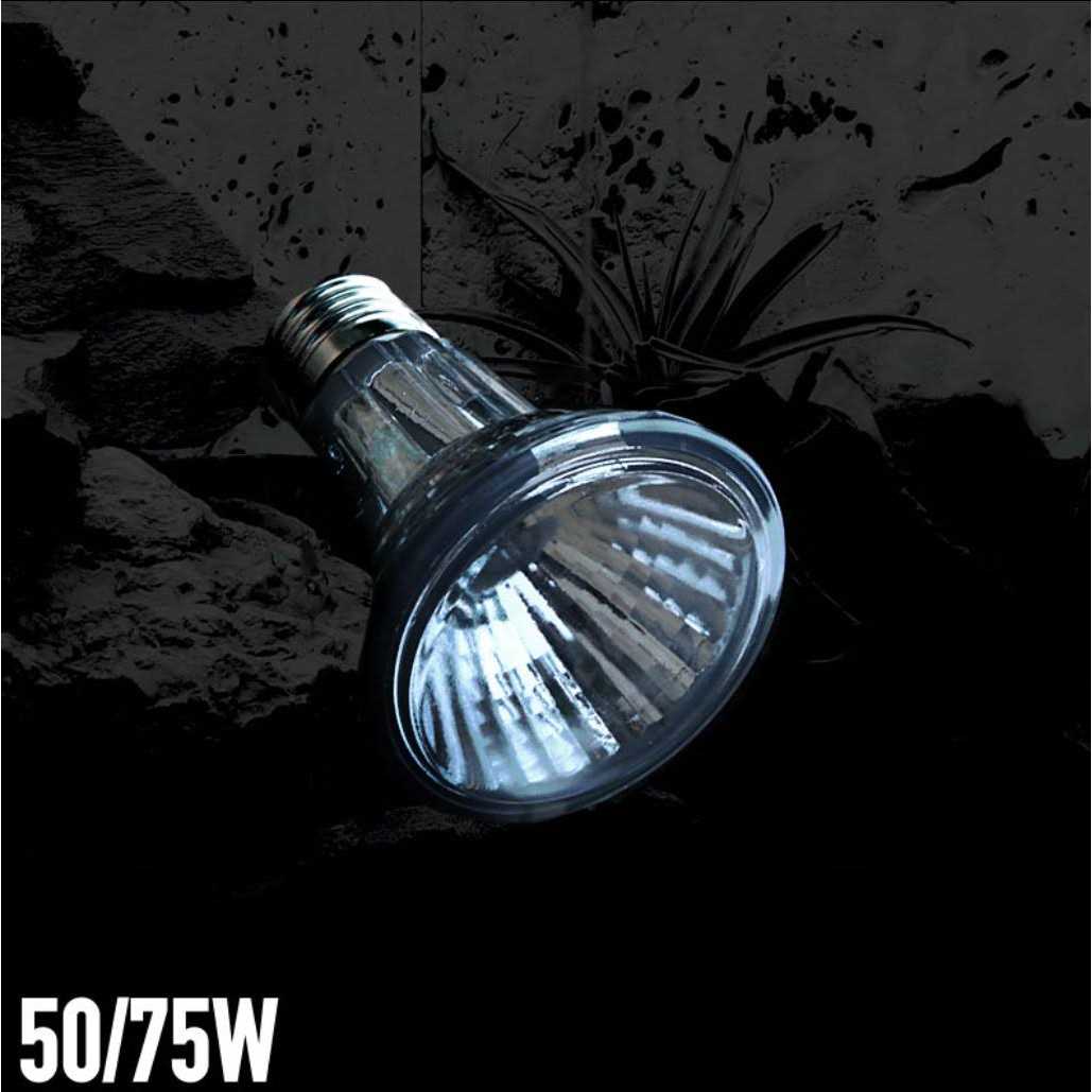Halogen Heat Lamp R10856