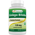 Ginkgo Biloba 120 mg 120 Capsules H897355
