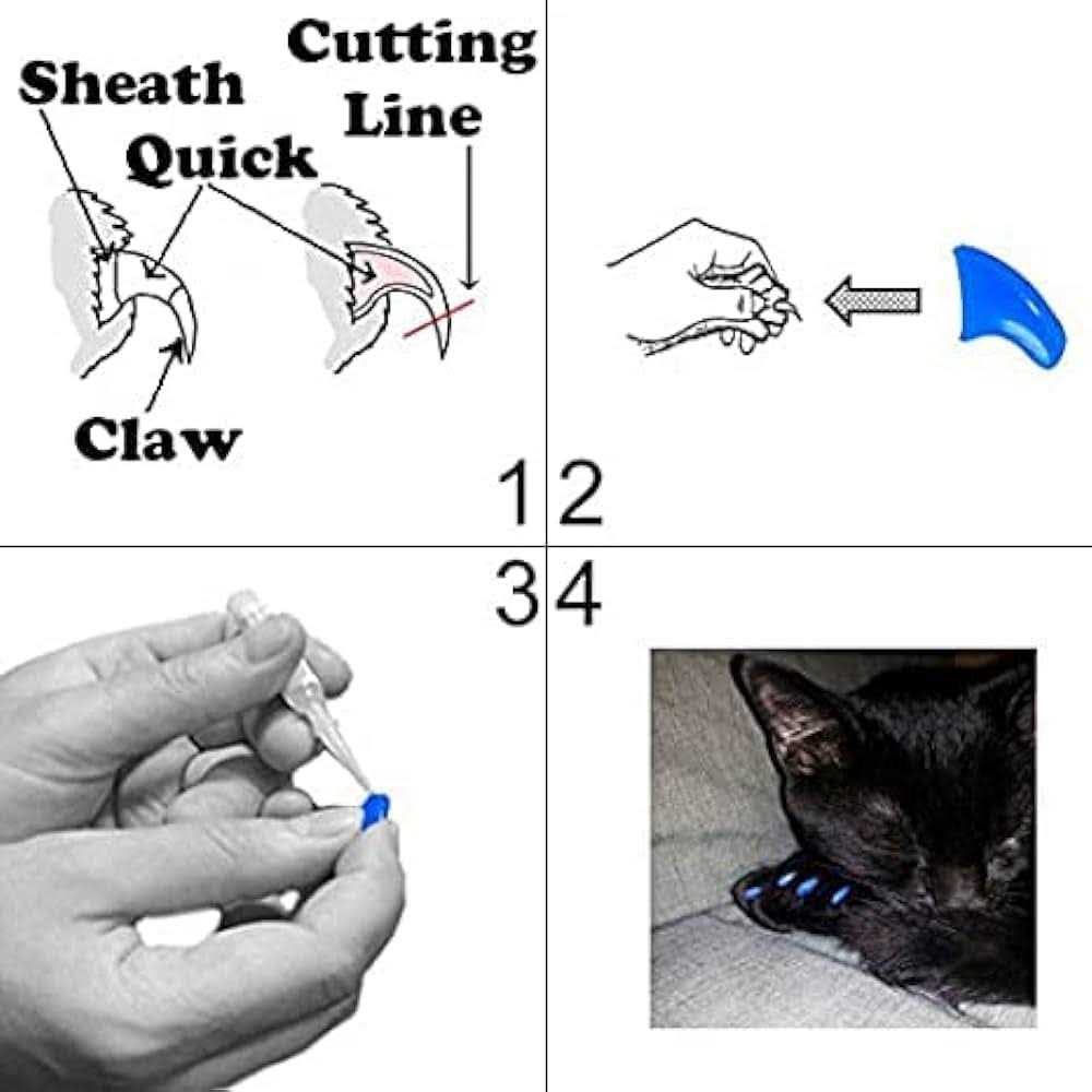 Soft Nail Caps for Cats T4604