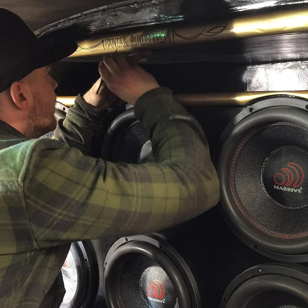 10 Inch Car Audio Subwoofer, 700 Watt RMS, Dual 2 Ohm A1875