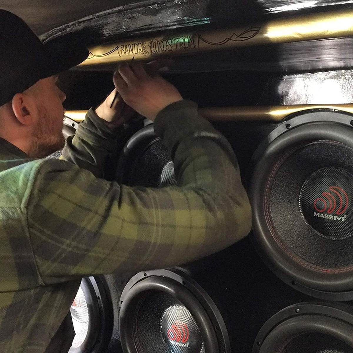 10 Inch Car Audio Subwoofer, 700 Watt RMS, Dual 2 Ohm A1875