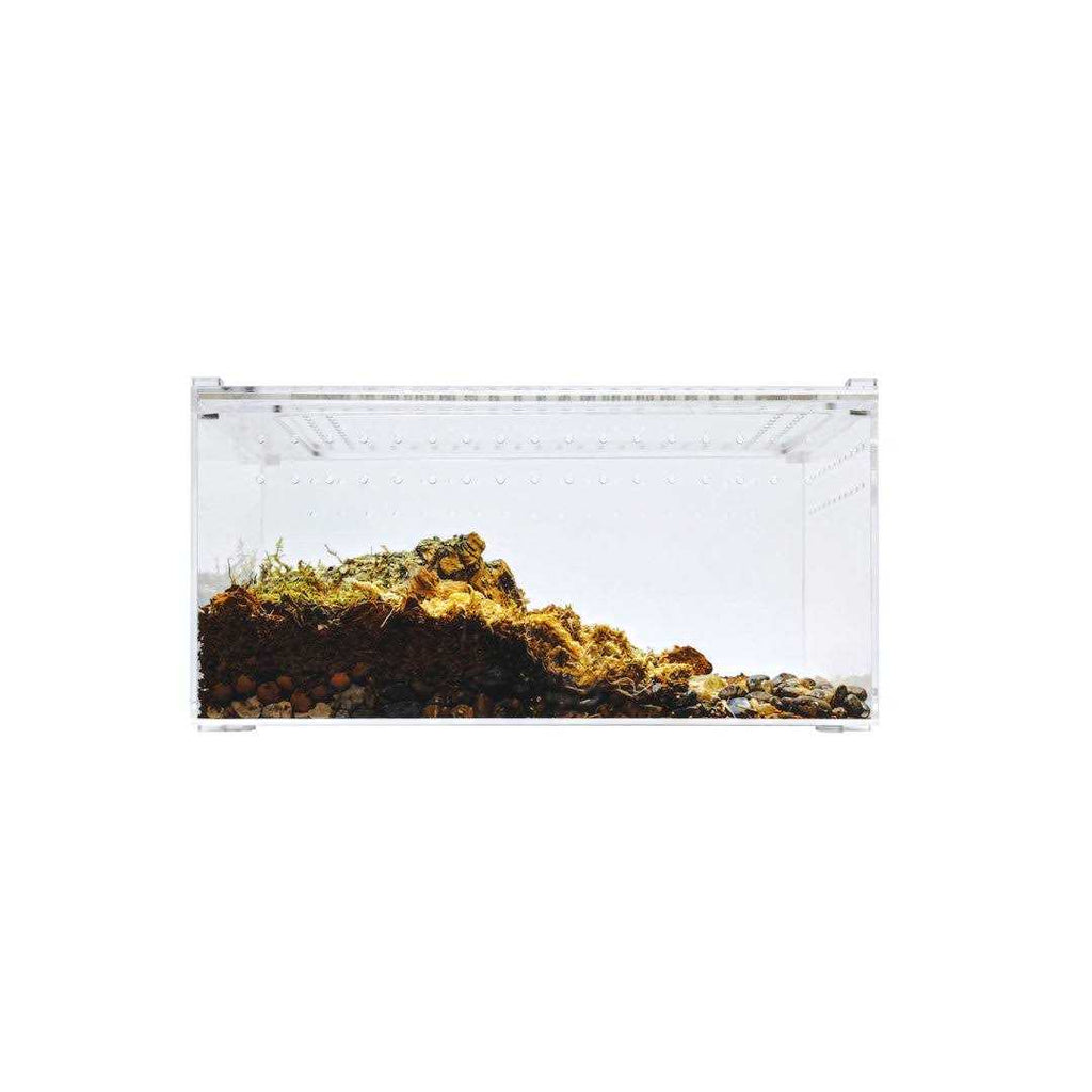 Acrylic Terrarium Q24955