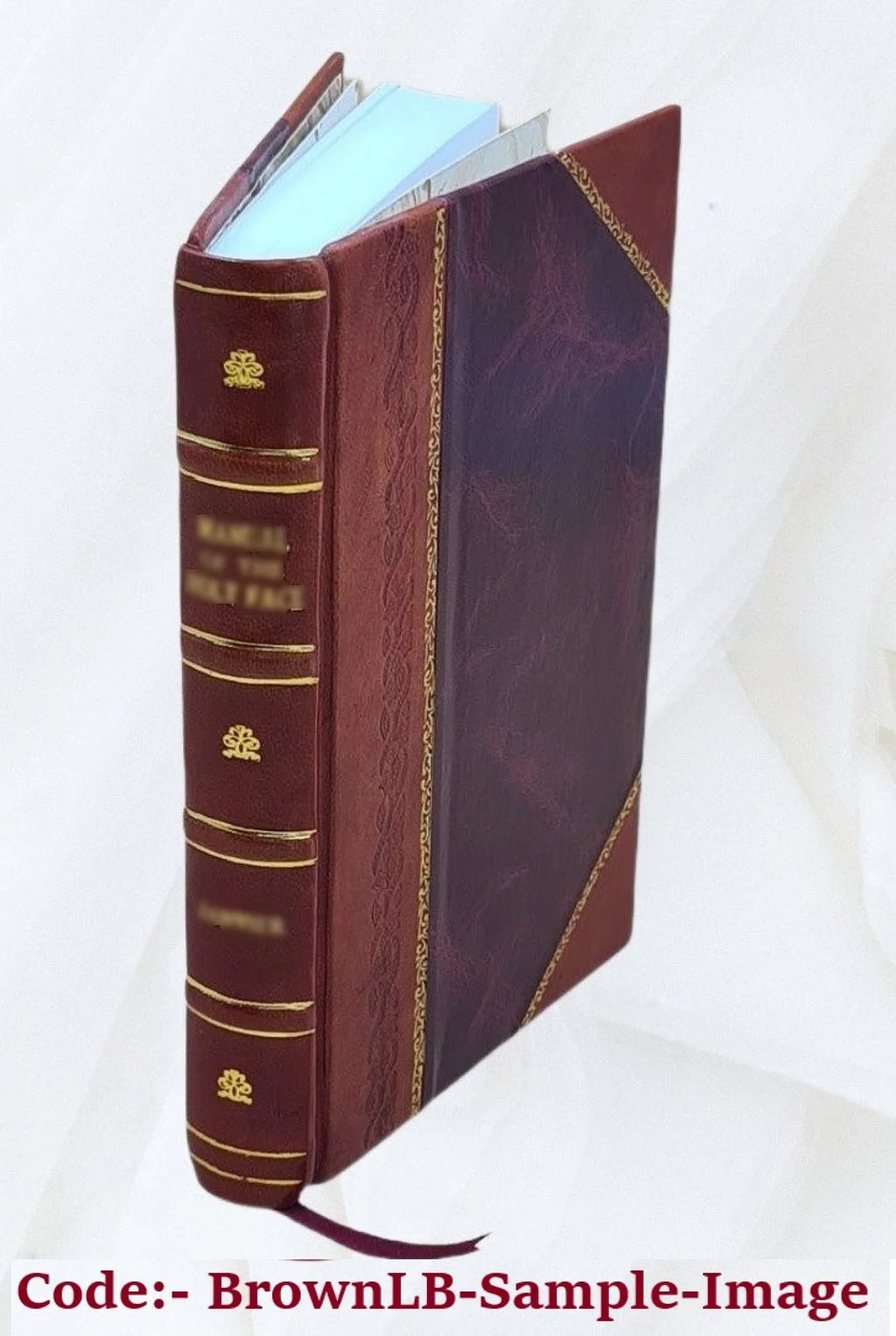 Leather Bound Book D13819