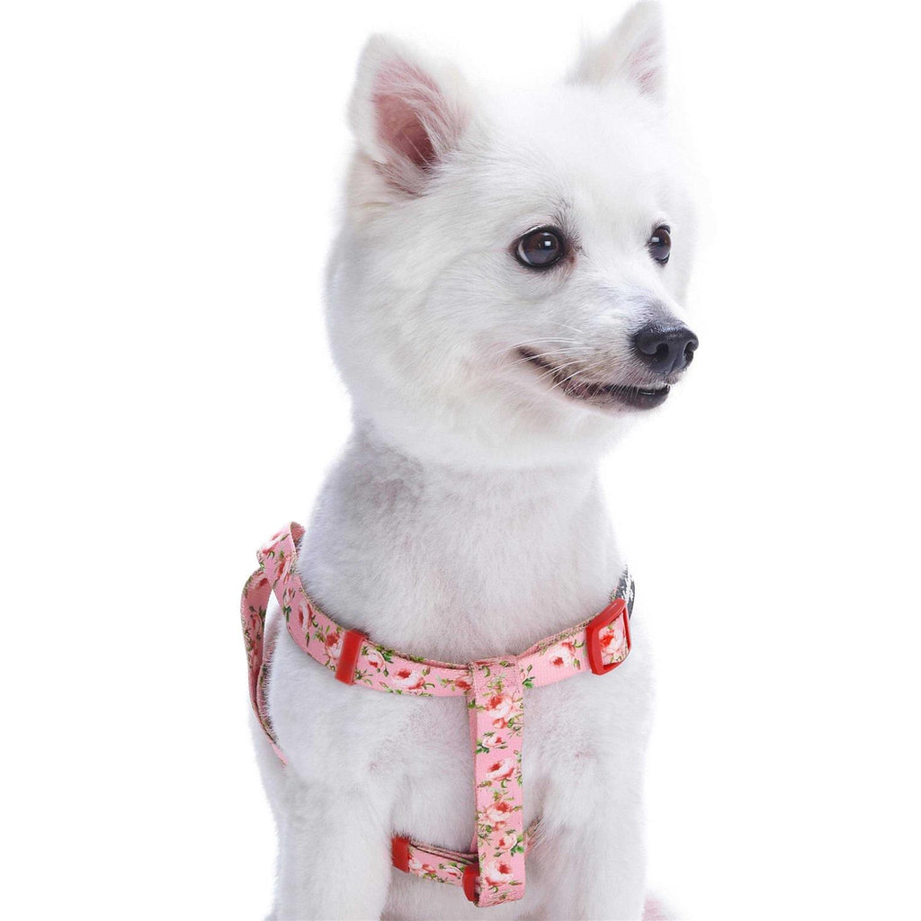 Step Dog Harness Z267