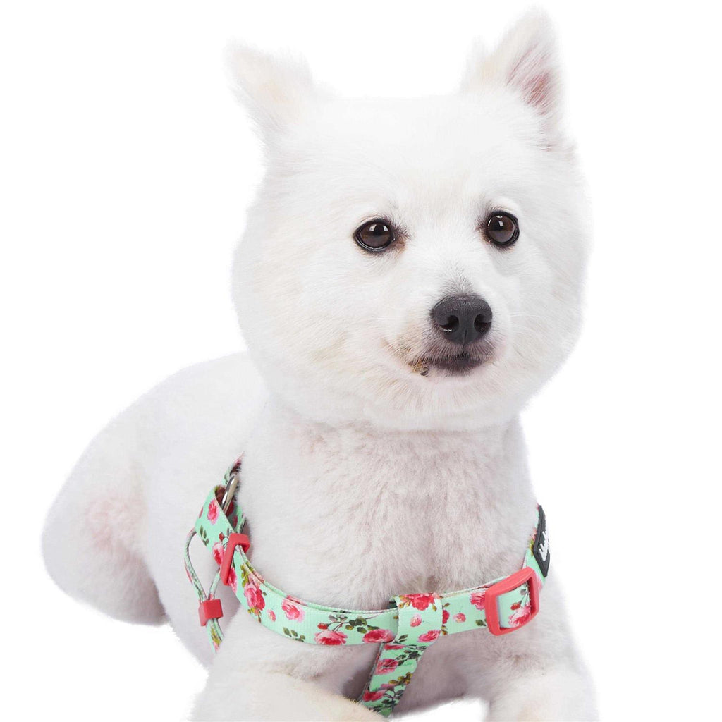 Step Dog Harness Z267