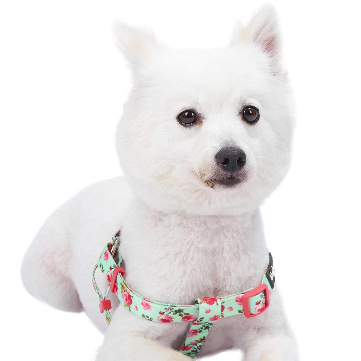 Step Dog Harness Z267