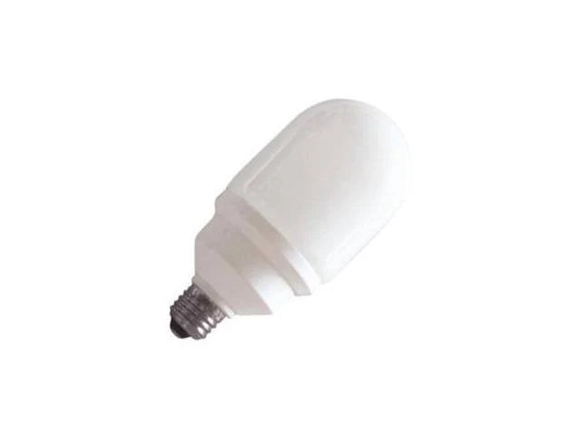 Compact Fluorescent Light Bulb S58562
