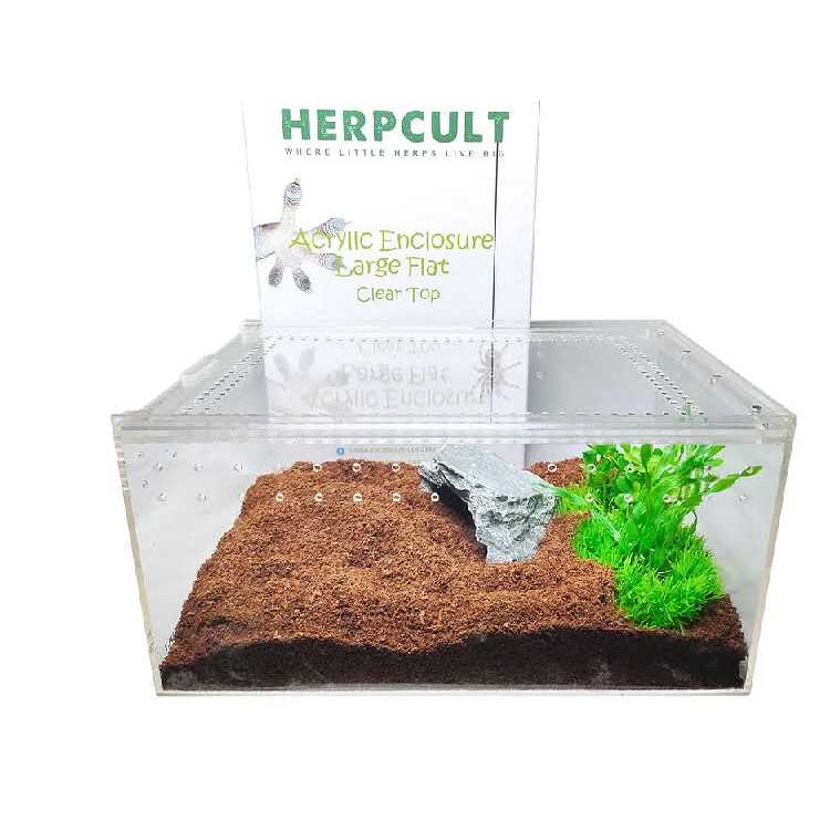 Acrylic Terrarium Q24955