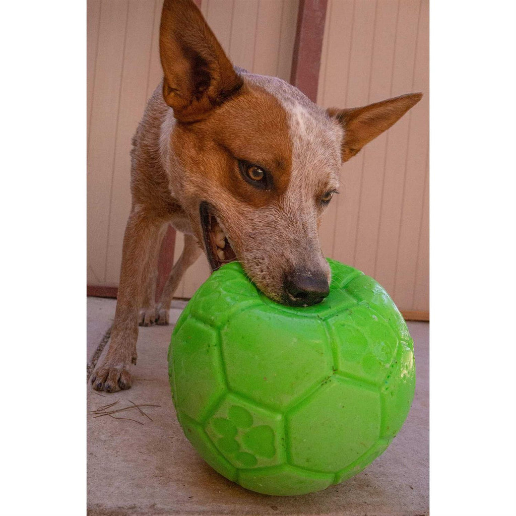 Soccer Ball F34249