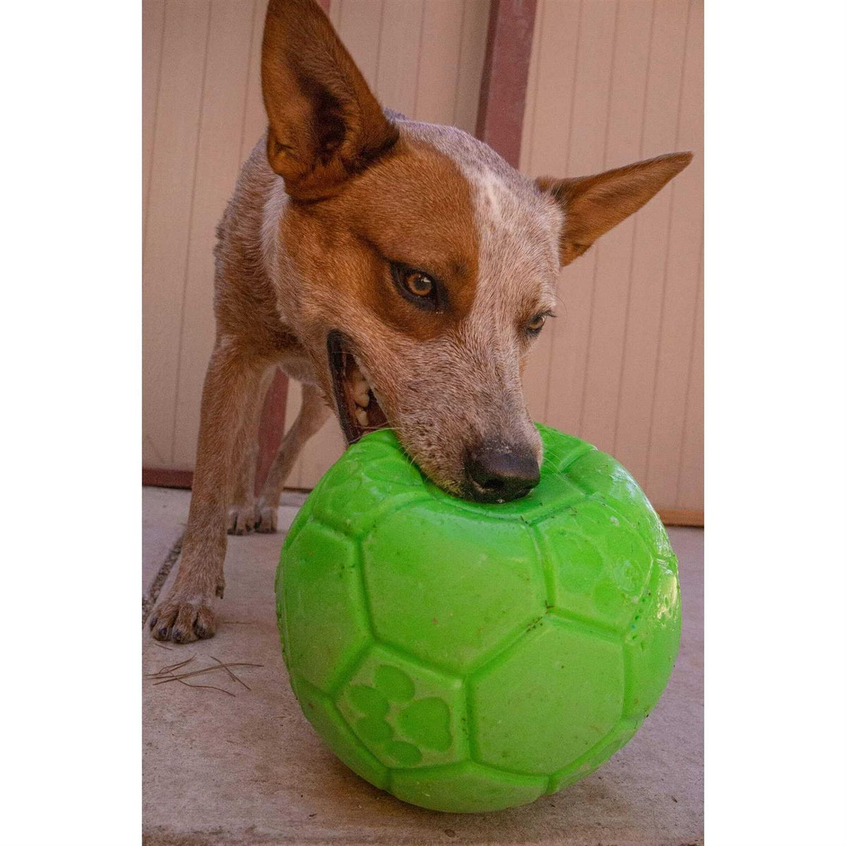 Soccer Ball F34249