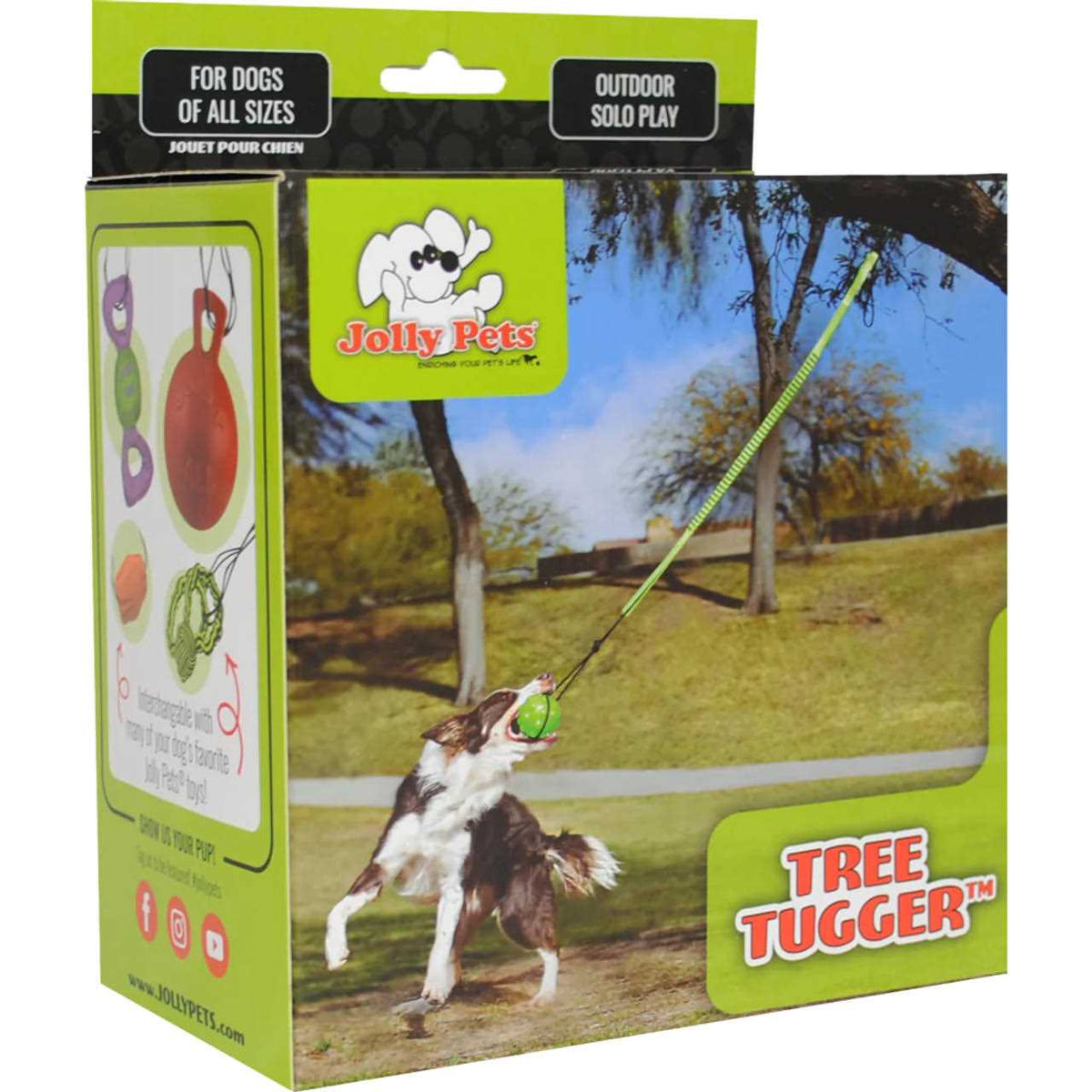 Dog Toy Y530849