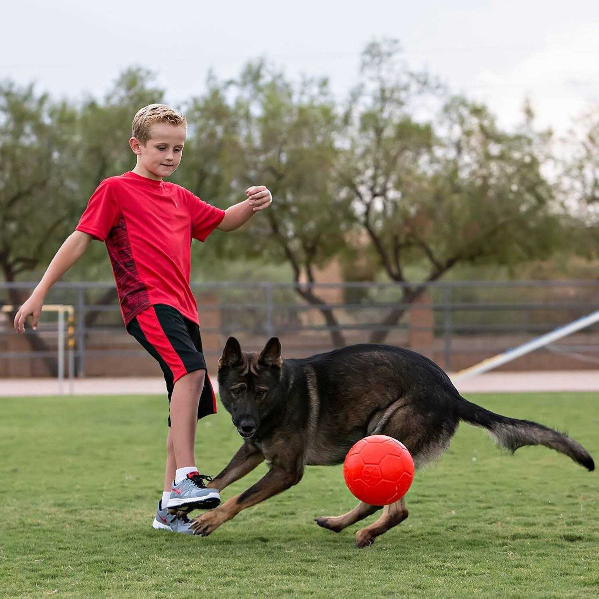 Soccer Ball F34249