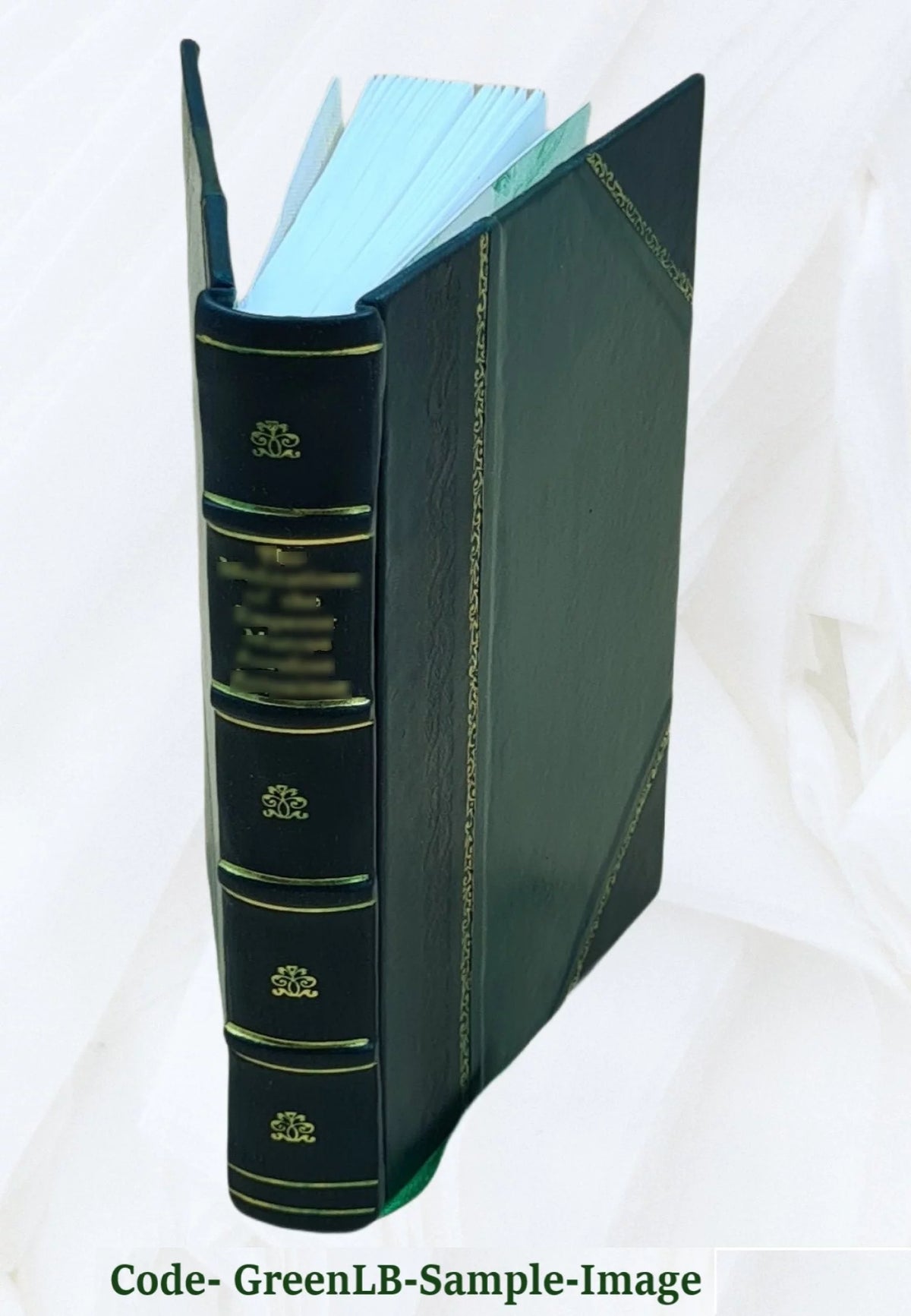 Electro-Chemistry Leather Bound Y226