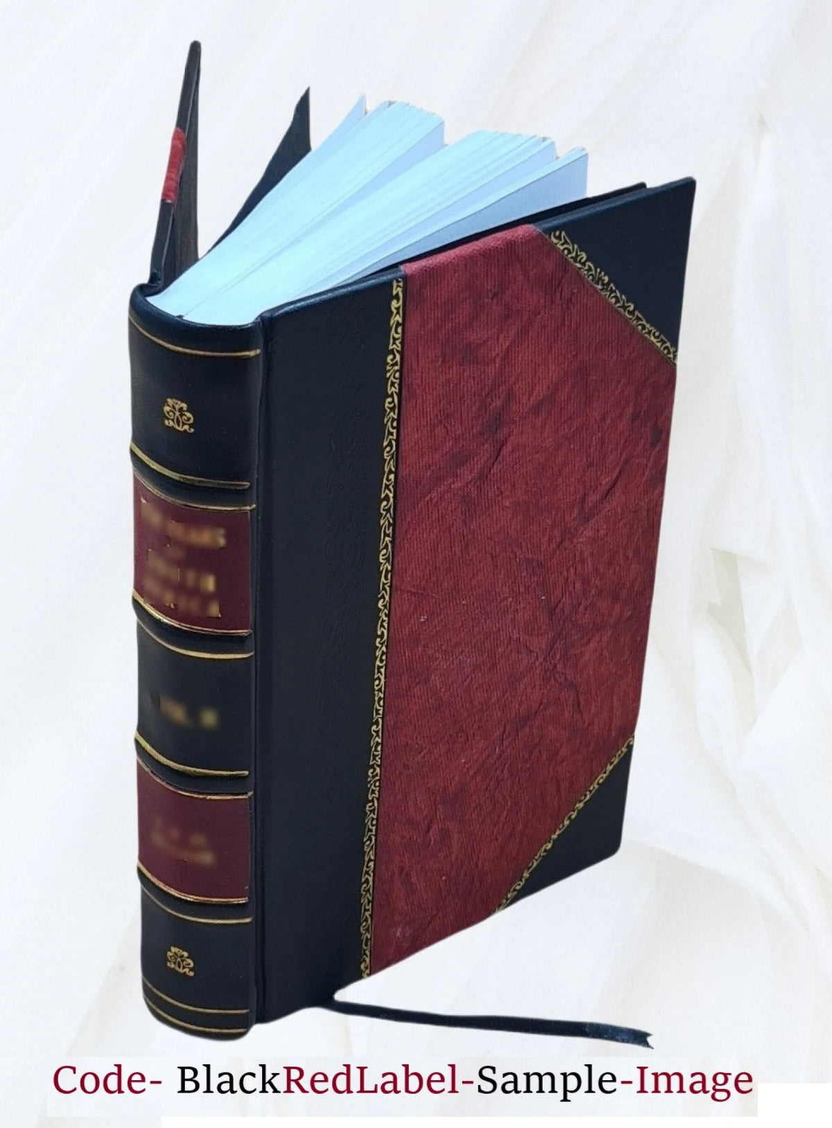 Electro-Chemistry Leather Bound Y226